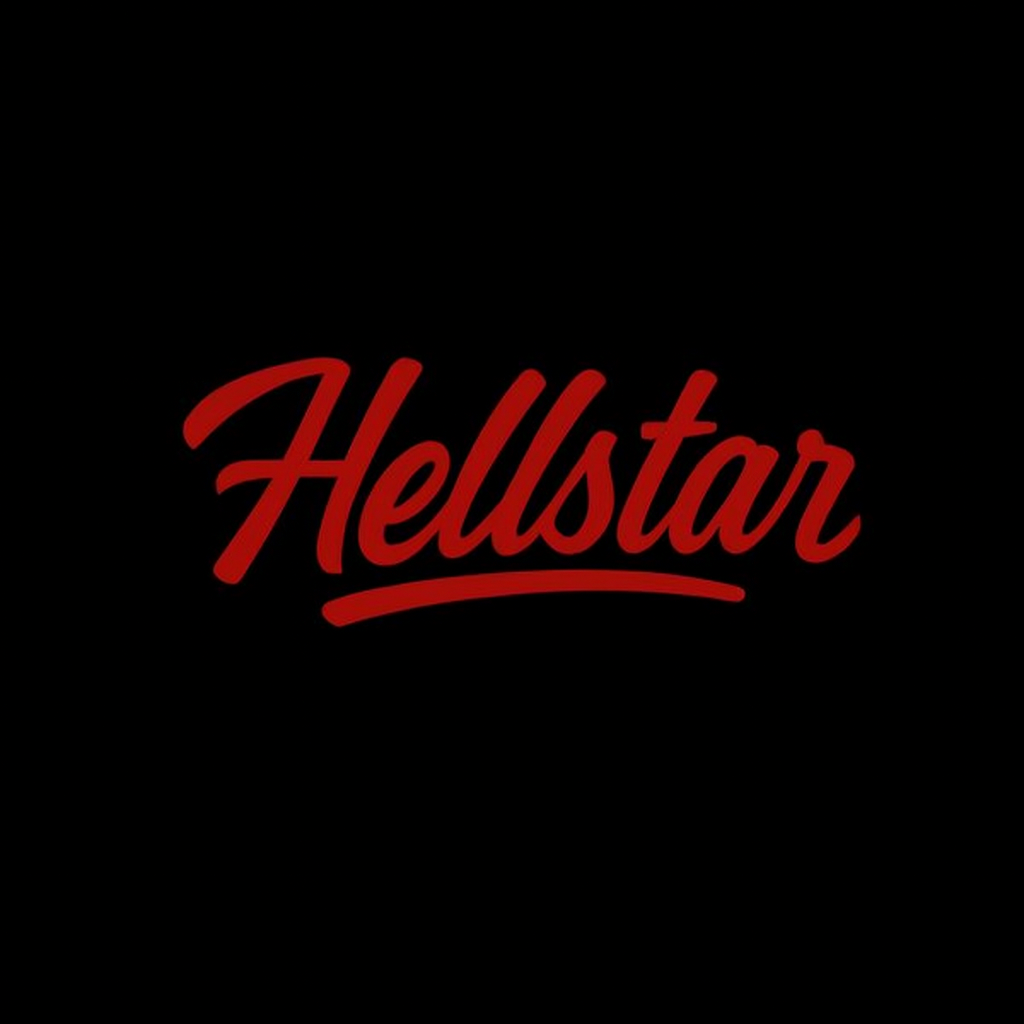 1TO1 VENDORS “HELLSTAR” Hoodie